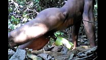 Desi Tarzan Boy Sex With Bottle Gourd In Forest