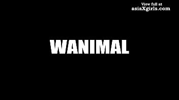 カップルのセックスアート-wanimal