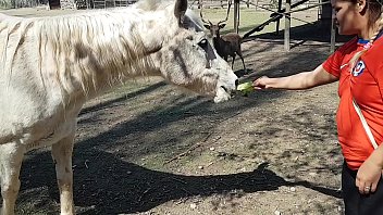 ¡Estaba emocionada de ver el tamaño del pene de un caballo! ¡Quería que mi novio se concentrara así! Paty Butt, El Toro De Oro
