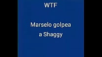 Marselo hits shaggy