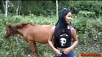 Aventuras de cavalo