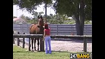 Cavallo ragazza