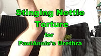 Stinging Nettles vase with Paulannie's uretrhra