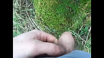 Peeing against a tree