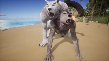 White Wolf dominates female Wolf and finishes in her ass - Wildlife