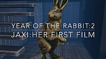 L'anno del coniglio 2