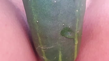 IT WAS HOT, I OPENED MY LEGS WELL WITHOUT PANTIES WITH MY SHAVED PUSSY, I GOT THE CUCUMBER WHICH WAS VERY WET AND I PUT IT IN THE BIG PUSSY I HAVE, AND I ROSE A LOT. A DELIGHT .