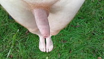 Outdoor feet and cock show