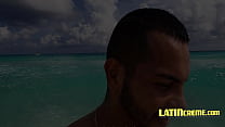Латиноамериканский водяной - LatinCreme